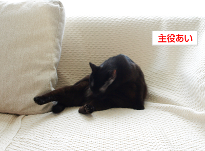ドラえもんの暴挙_a0389088_17180112.jpg
