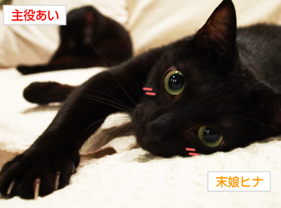 ドラえもんの暴挙_a0389088_17180132.jpg