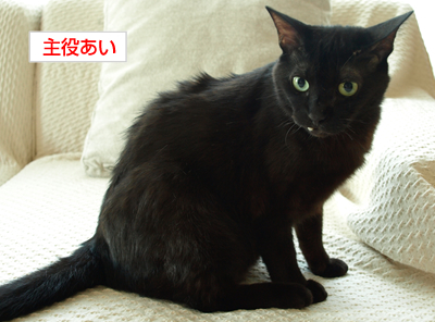 ドラえもんの暴挙_a0389088_17180164.jpg