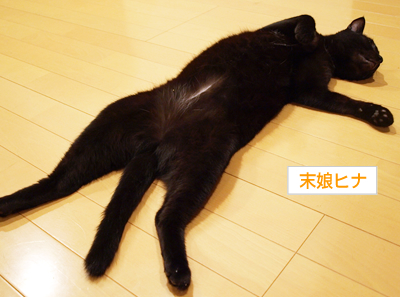 ドラえもんの暴挙_a0389088_17180173.jpg