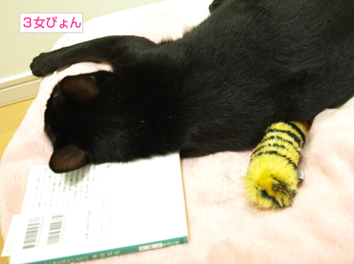 こわいゆめを見ないように_a0389088_17191633.jpg