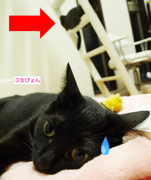 こわいゆめを見ないように_a0389088_17191634.jpg