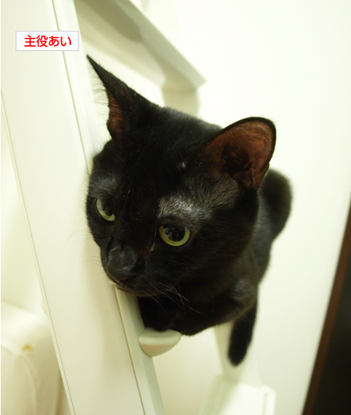 こわいゆめを見ないように_a0389088_17191772.jpg