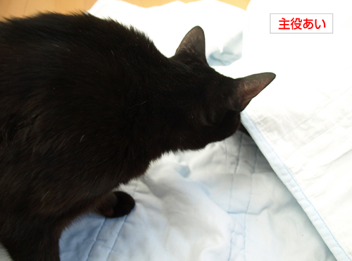 病気だから……_a0389088_17192539.jpg
