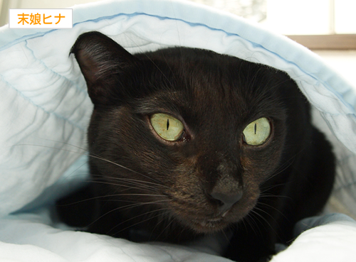 病気だから……_a0389088_17192563.jpg