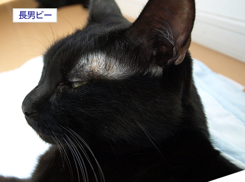 病気だから……_a0389088_17192569.jpg