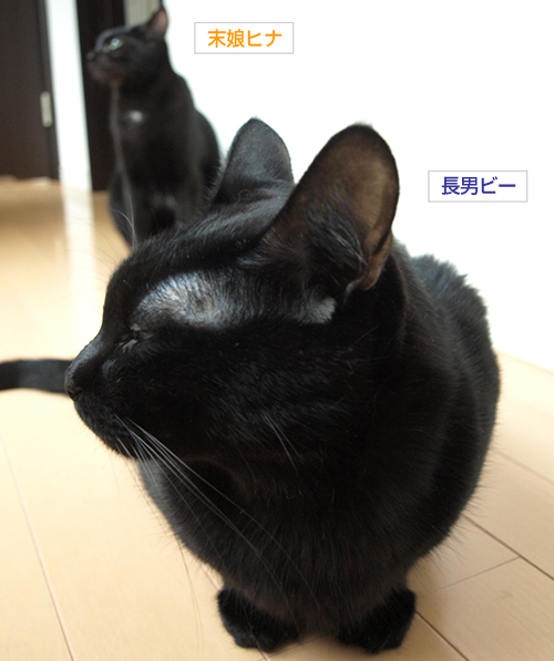 カッコのつけどころ_a0389088_17192809.jpg