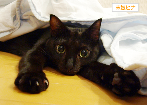キラキラの時間_a0389088_17193180.jpg