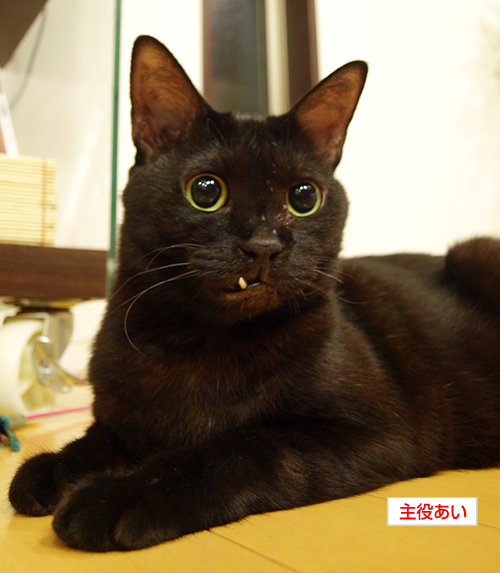 キラキラの時間_a0389088_17193183.jpg