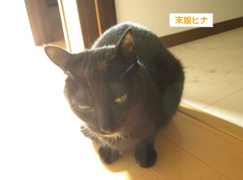 慣れない三文の徳_a0389088_17194405.jpg