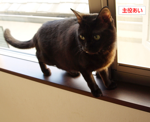 慣れない三文の徳_a0389088_17194447.jpg