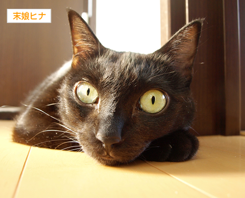 慣れない三文の徳_a0389088_17194549.jpg