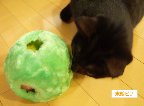 家庭内暴力回避術_a0389088_17194612.jpg