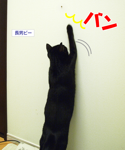 家庭内暴力回避術_a0389088_17194631.jpg