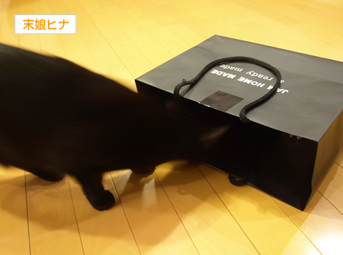 プレゼント当選者発表!!_a0389088_17195069.jpg