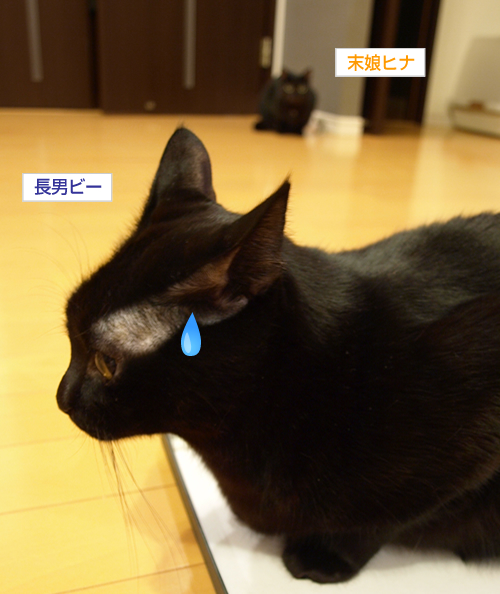 入りたい二人_a0389088_17195523.jpg