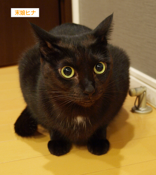 入りたい二人_a0389088_17195580.jpg