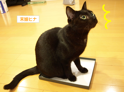 入りたい二人_a0389088_17195627.jpg