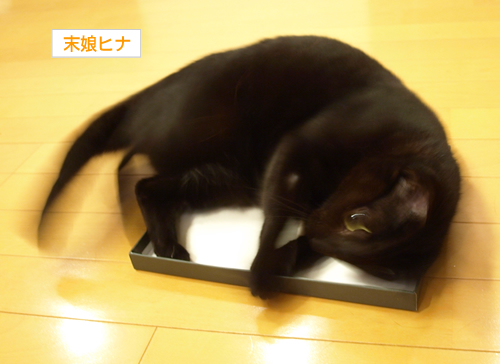 入りたい二人_a0389088_17195662.jpg