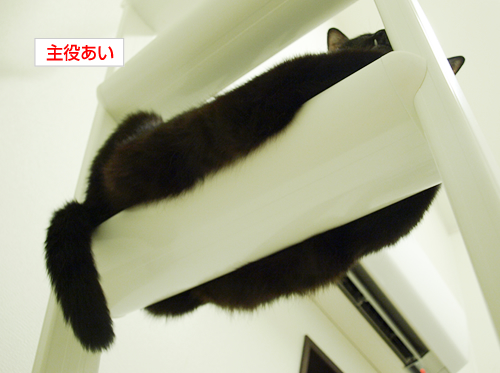 生きてきて たどりついた 今日_a0389088_17200244.jpg