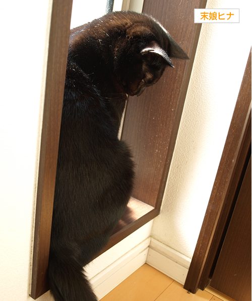 気になるけど…けど…_a0389088_17200427.jpg
