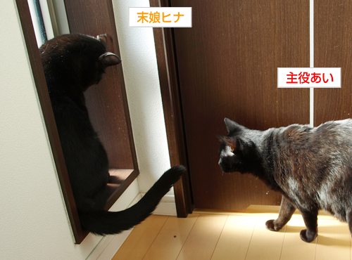 気になるけど…けど…_a0389088_17200432.jpg