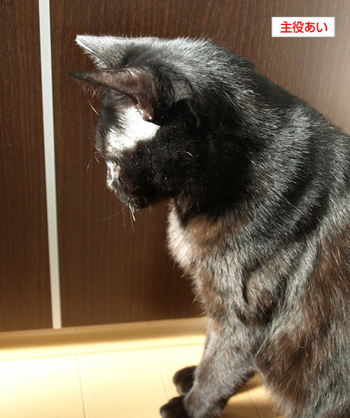 気になるけど…けど…_a0389088_17200460.jpg
