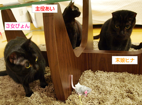 うるおう我が家_a0389088_17200645.jpg