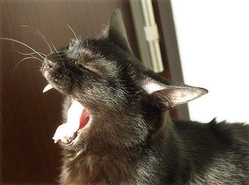 わずかでも…光_a0389088_17200820.jpg