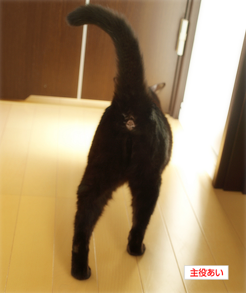 わずかでも…光_a0389088_17200833.jpg