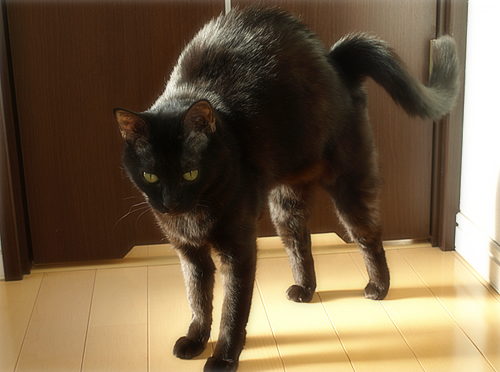 わずかでも…光_a0389088_17200866.jpg