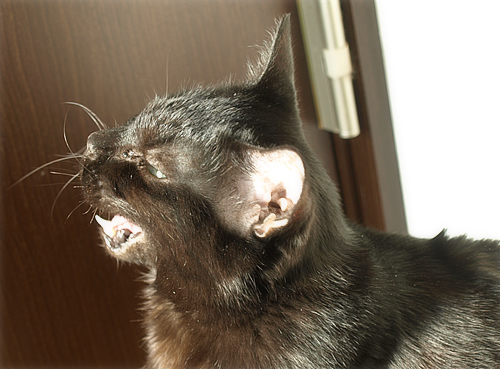 わずかでも…光_a0389088_17200986.jpg