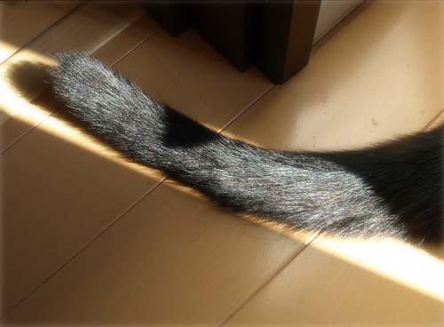 わずかでも…光_a0389088_17200994.jpg