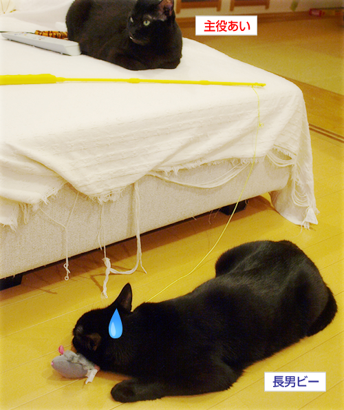 愛しのネズ公_a0389088_17201127.jpg
