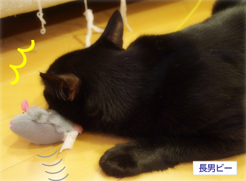 愛しのネズ公_a0389088_17201150.jpg