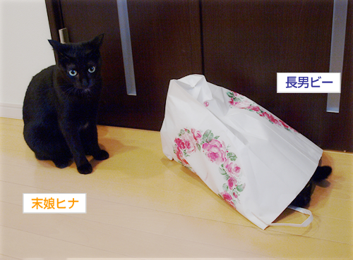 いつでもどこでも…〇〇_a0389088_17202268.jpg