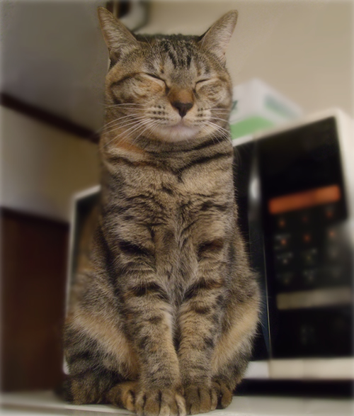 忘れないよ_a0389088_17214472.jpg