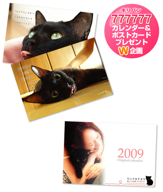 【プレゼント】キリバン777777企画!!_a0389088_17224204.jpg