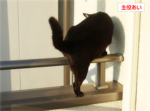 心臓に悪い_a0389088_17224512.jpg