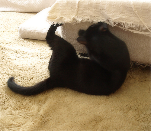 病気ってなんだ?_a0389088_17224720.jpg