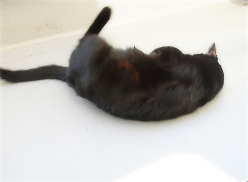勇気をください_a0389088_17224734.jpg