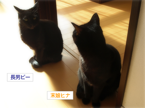 信頼_a0389088_17224905.jpg