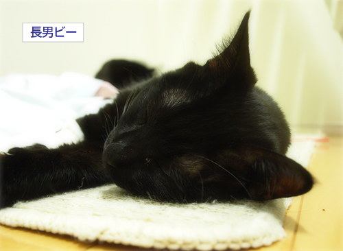 信頼_a0389088_17224968.jpg