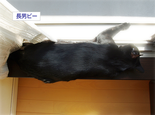 息をしている_a0389088_17224993.jpg