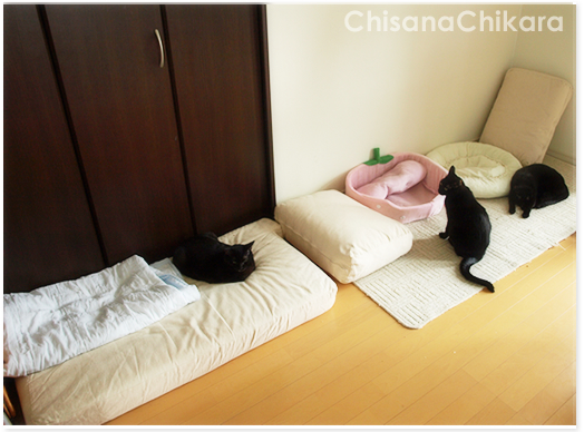 心と身体_a0389088_17225078.jpg
