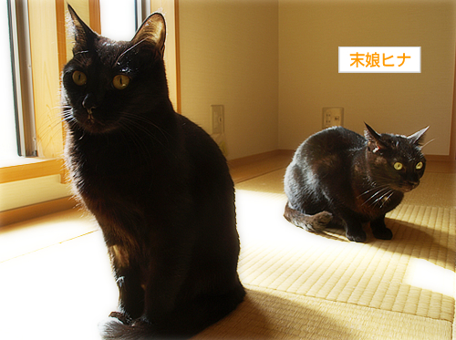 奇跡にまた一歩…_a0389088_17225294.jpg