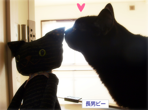 猫の心(オマケ:抗癌治療について・4)_a0389088_17225409.jpg
