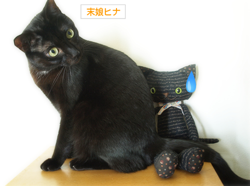猫の心(オマケ:抗癌治療について・4)_a0389088_17225437.jpg