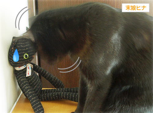 猫の心(オマケ:抗癌治療について・4)_a0389088_17225440.jpg