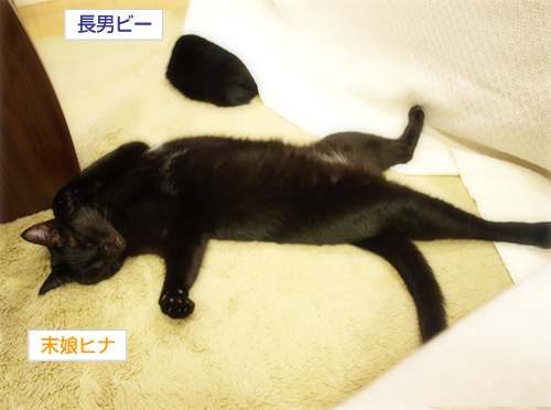 奇跡の国を目指して…_a0389088_17225738.jpg